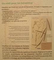 19a - A quoi servent les herbiers (2).jpg